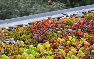 the cost of West Grimstead green roof installation