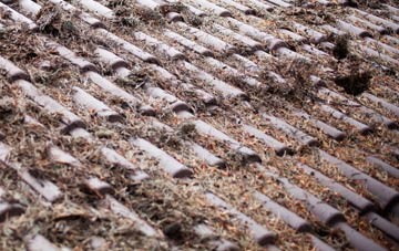 West Grimstead roof cleaning companies